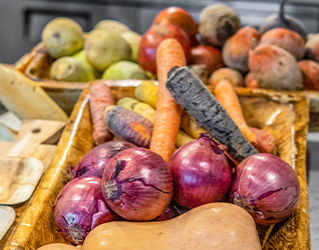 variety of root vegetables